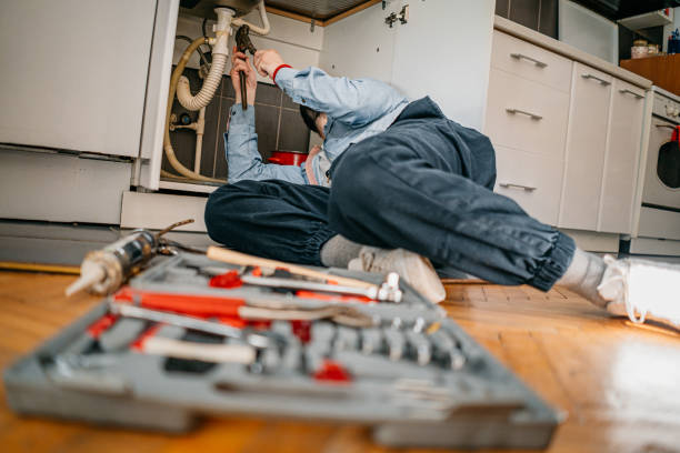 Best Local Plumber Services  in Ambridge, PA